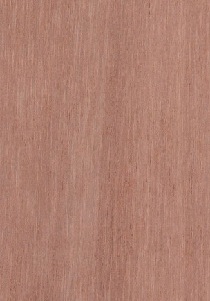 Marine Plywood Pink Species